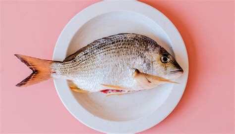 does fish cause cancer|Eating fish linked to skin cancer risk .